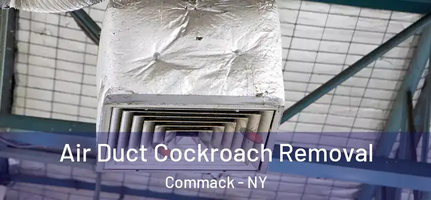  Air Duct Cockroach Removal Commack - NY