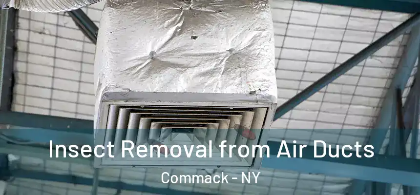 Insect Removal from Air Ducts Commack - NY