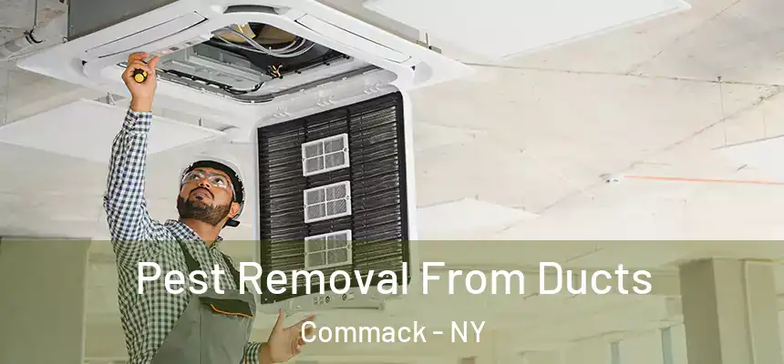  Pest Removal From Ducts Commack - NY