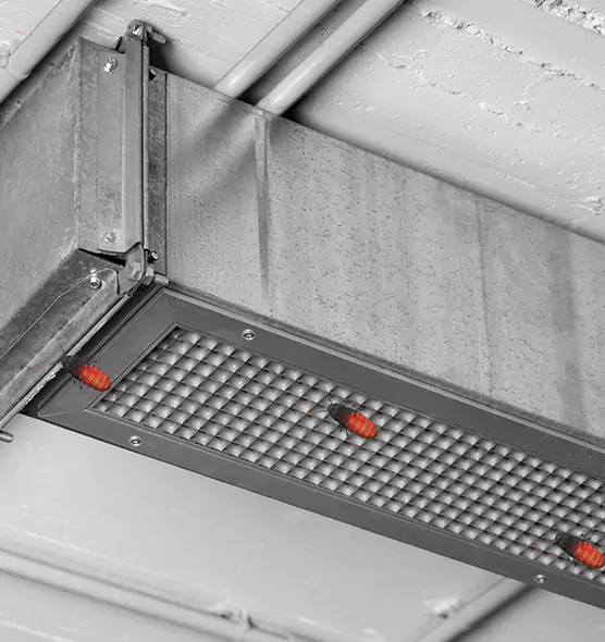 About Air Duct Cockroach Removal in Commack, NY