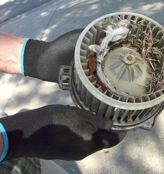 About Air Duct Mice Removal in Commack, NY