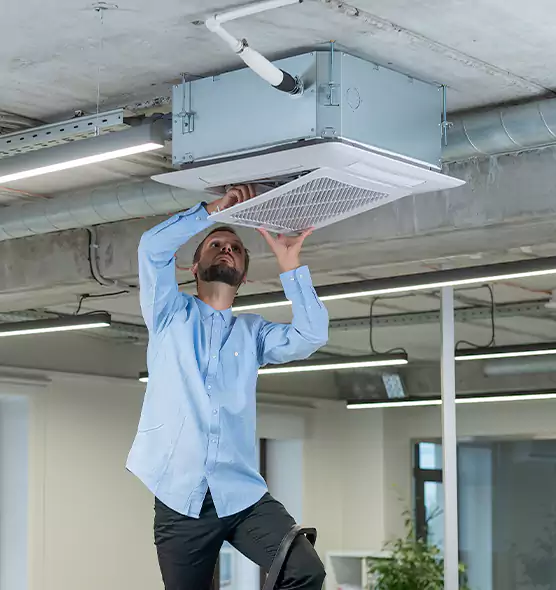 Advanced Rodent Droppings In Vents in Commack, NY